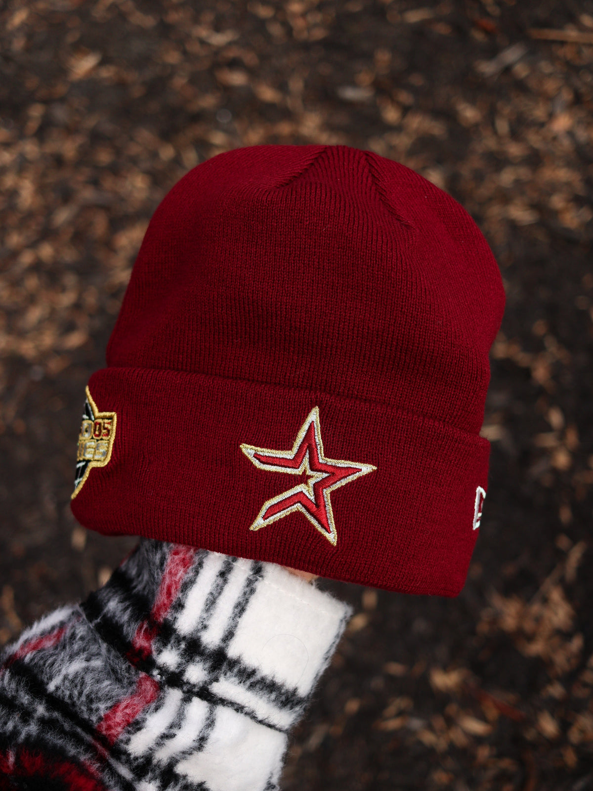 Astros (RED beanie) 05 WS