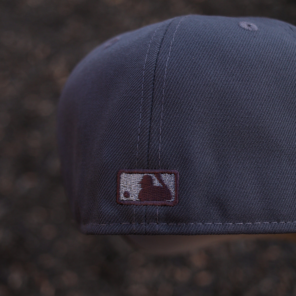 Astros (charcoal/bown)