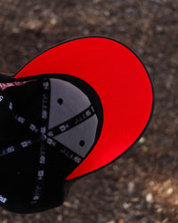 2020 WS LA BLK/RED - BeisbolMXShop