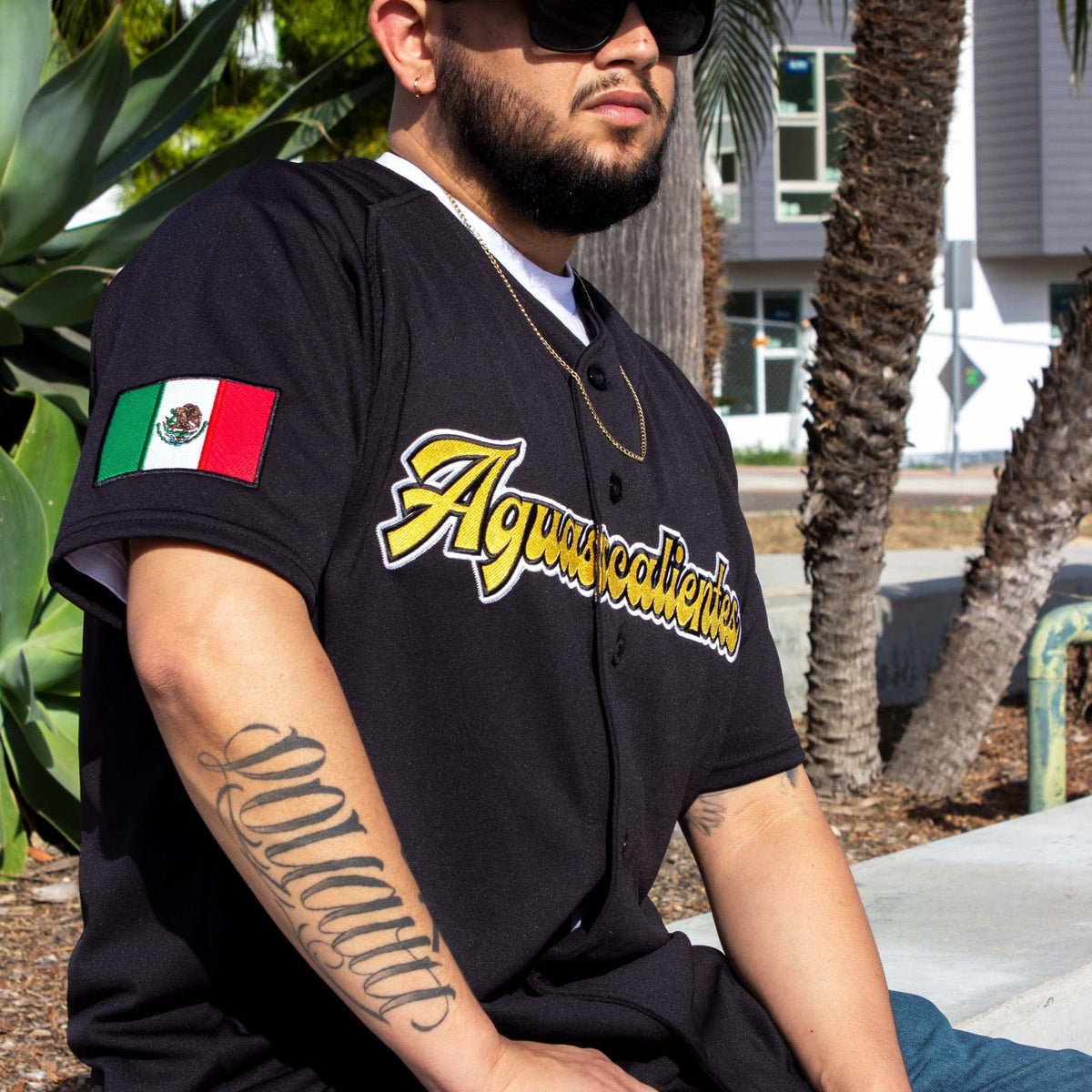 2024 AGUASCALIENTES Jersey - BeisbolMXShop