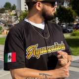 2024 AGUASCALIENTES Jersey - BeisbolMXShop