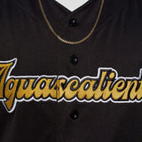 2024 AGUASCALIENTES Jersey - BeisbolMXShop