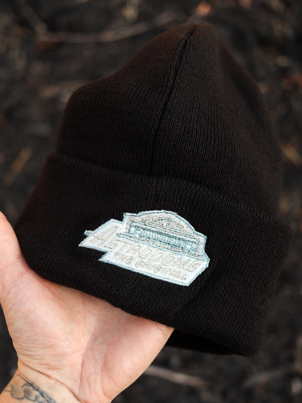 Astros (black beanie) (astrodome patch)