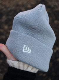 Astros (grey beanie) 05 WS
