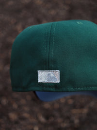 (Stros) Astros green/brown