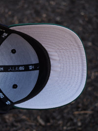 Astros (navy/green)