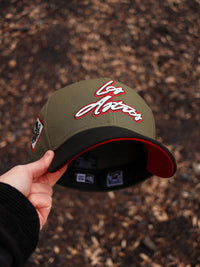 Travis Olive “Los Astros”