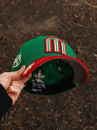 Green/red mexico floral design