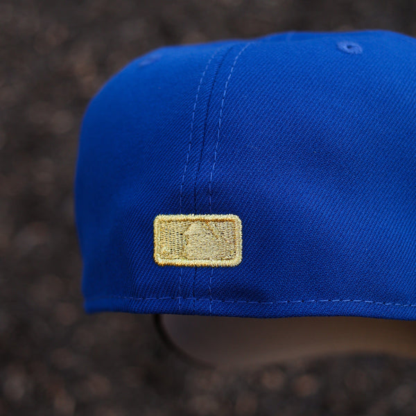 Astros (royal blue/black)