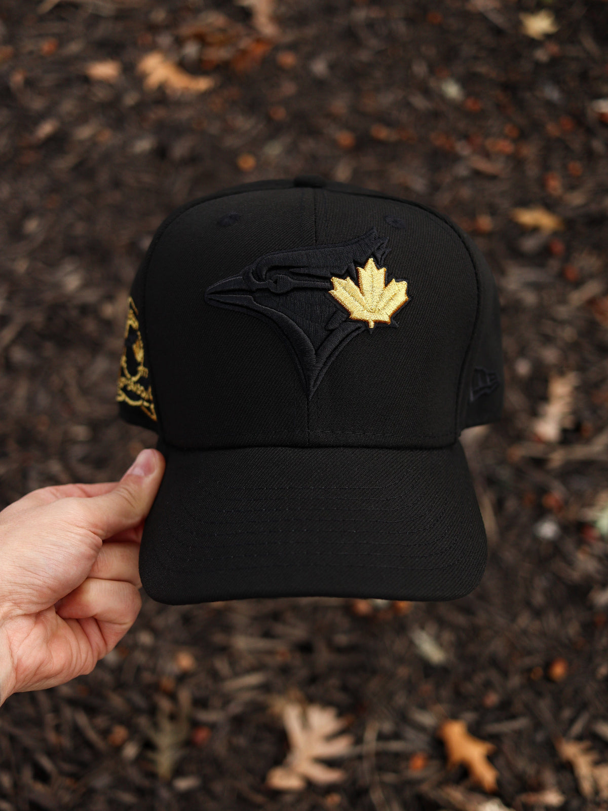 Blue jays BLK/Gold