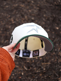 Astros (chrome/green)