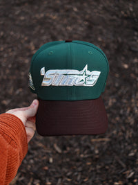 (Stros) Astros green/brown