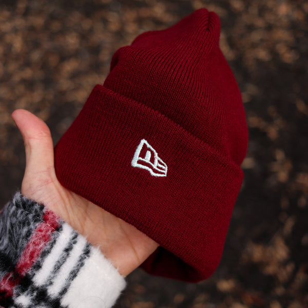 Astros (RED beanie) 05 WS