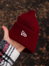 Astros (RED beanie) 05 WS
