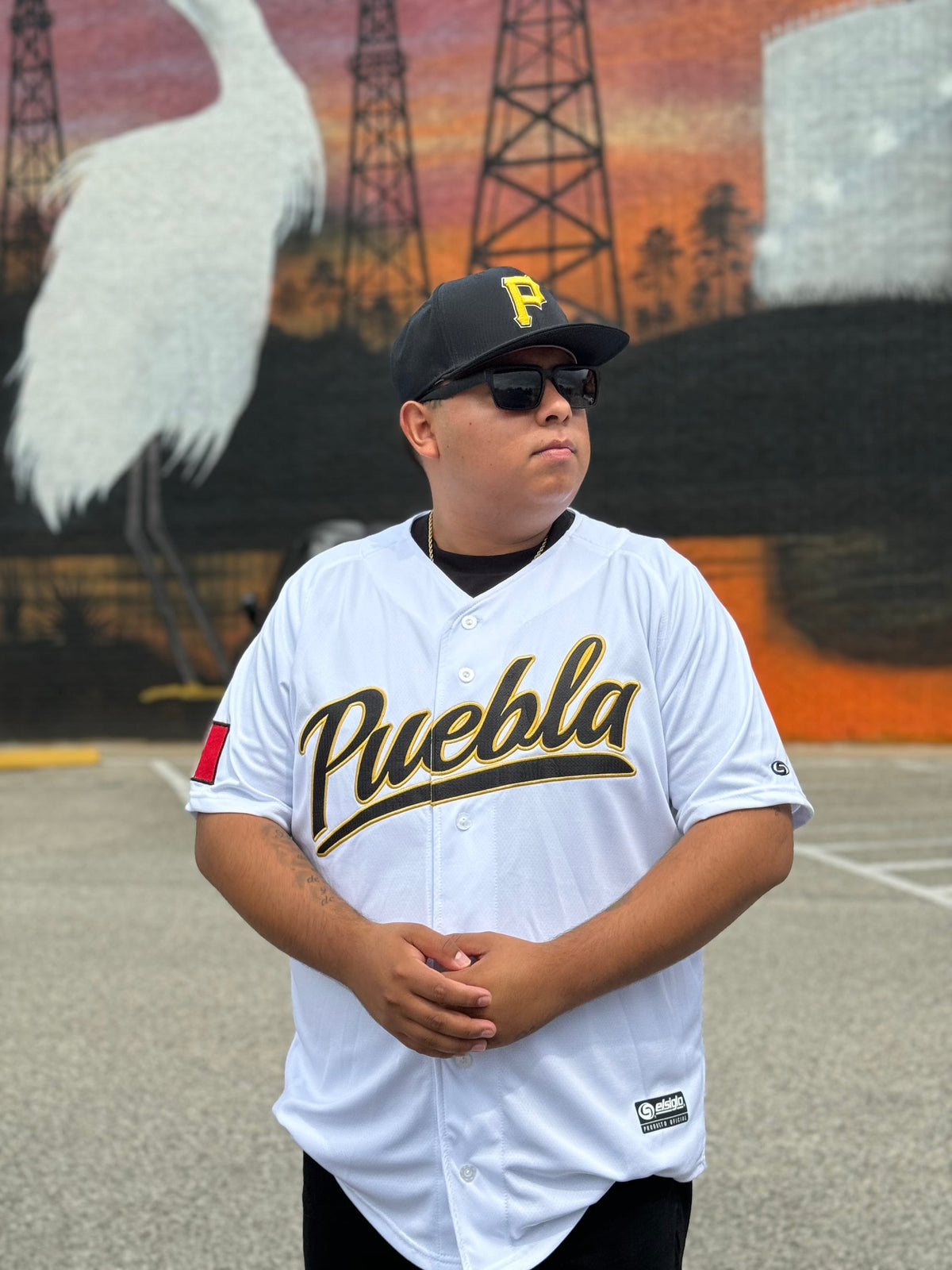 puebla 2024 Jersey - BeisbolMXShop