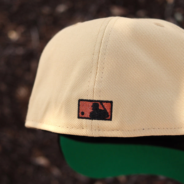 Astros Rushmore - BeisbolMXShop