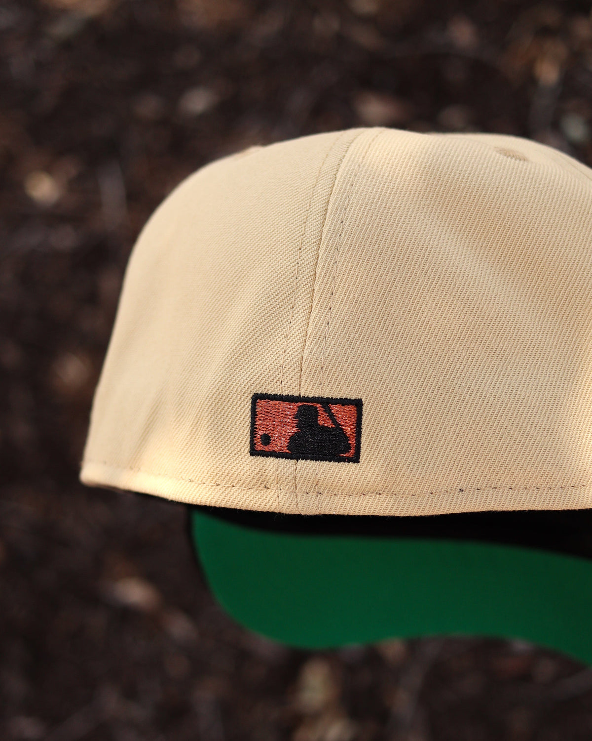 Astros Rushmore - BeisbolMXShop