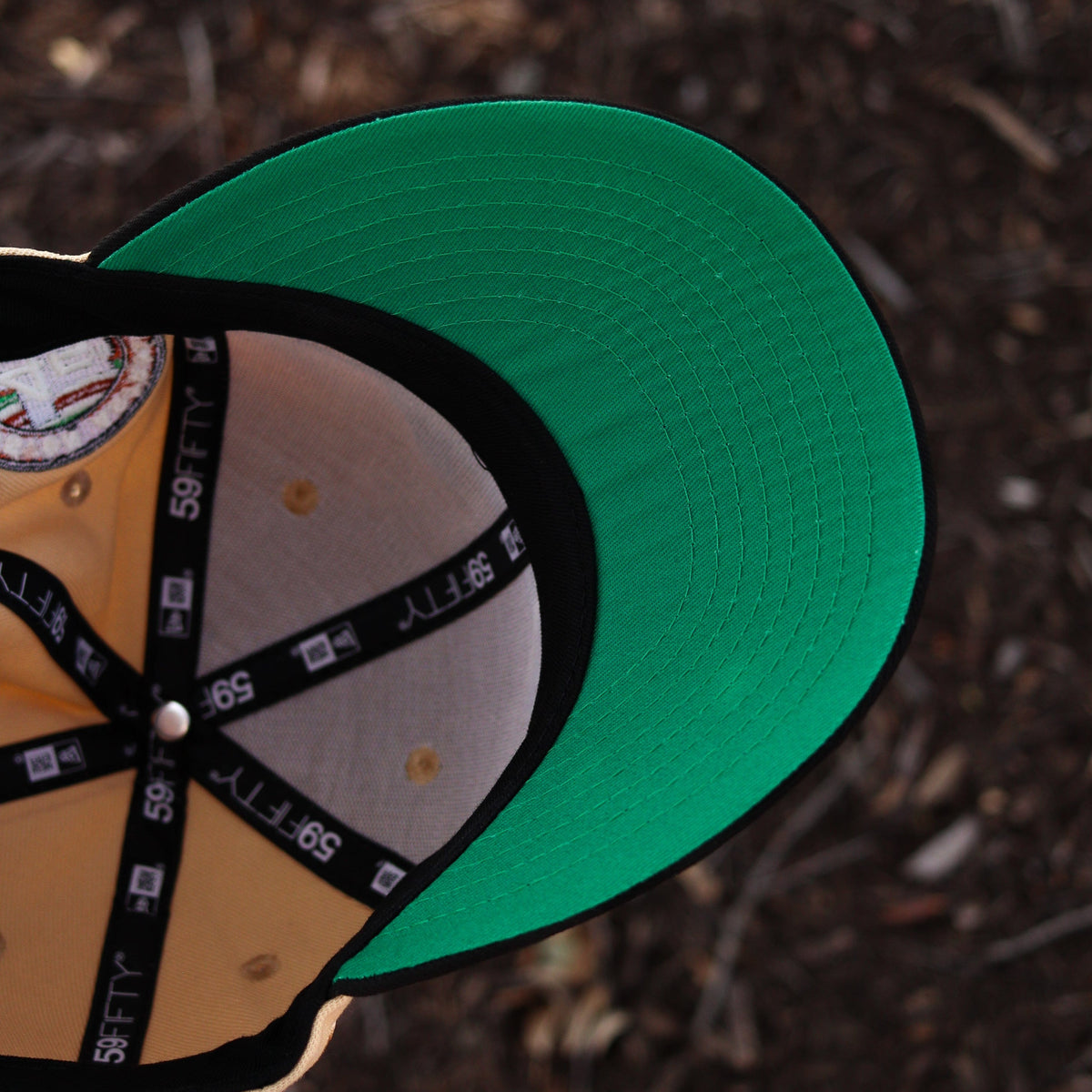 Astros Rushmore - BeisbolMXShop