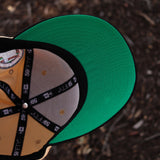 Astros Rushmore - BeisbolMXShop