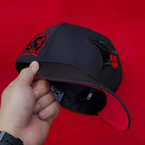 Blue jays (BLK/RED) - BeisbolMXShop