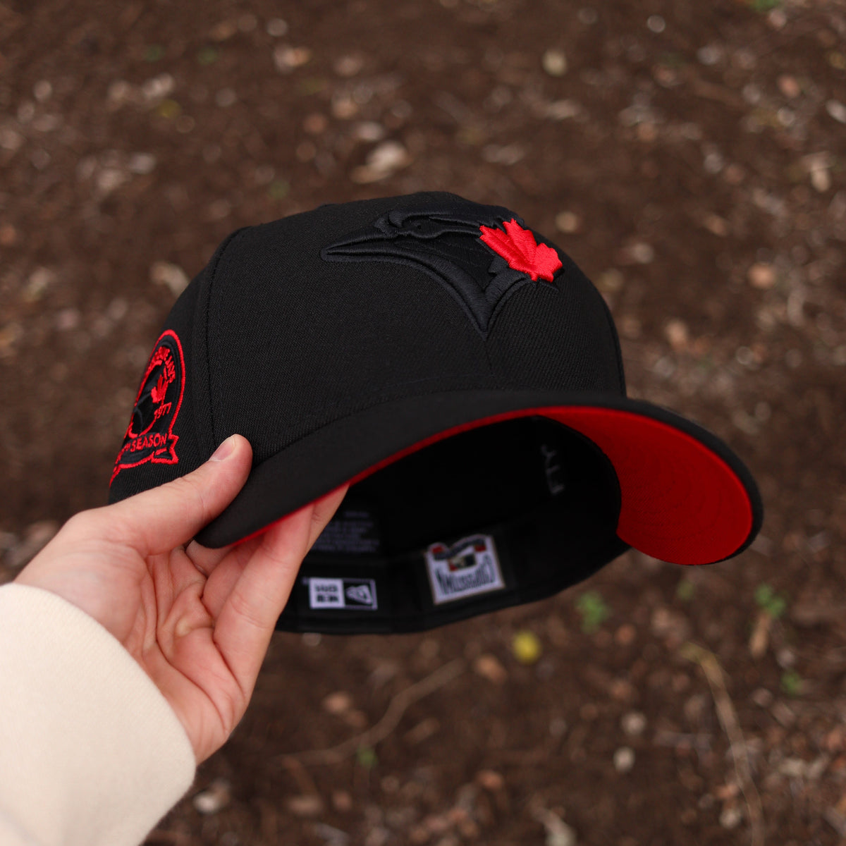 Blue jays (BLK/RED) - BeisbolMXShop