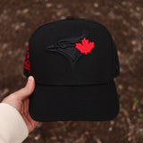 Blue jays (BLK/RED) - BeisbolMXShop