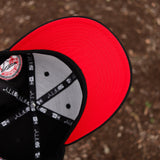 Blue jays (BLK/RED) - BeisbolMXShop