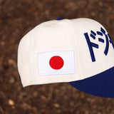 (Chrome/blue) kanji dodgers - BeisbolMXShop