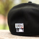 Colored Mexico License Plate Pins - BeisbolMXShop