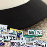 Colored Mexico License Plate Pins - BeisbolMXShop