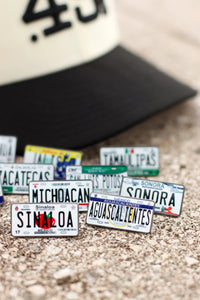 Colored Mexico License Plate Pins - BeisbolMXShop