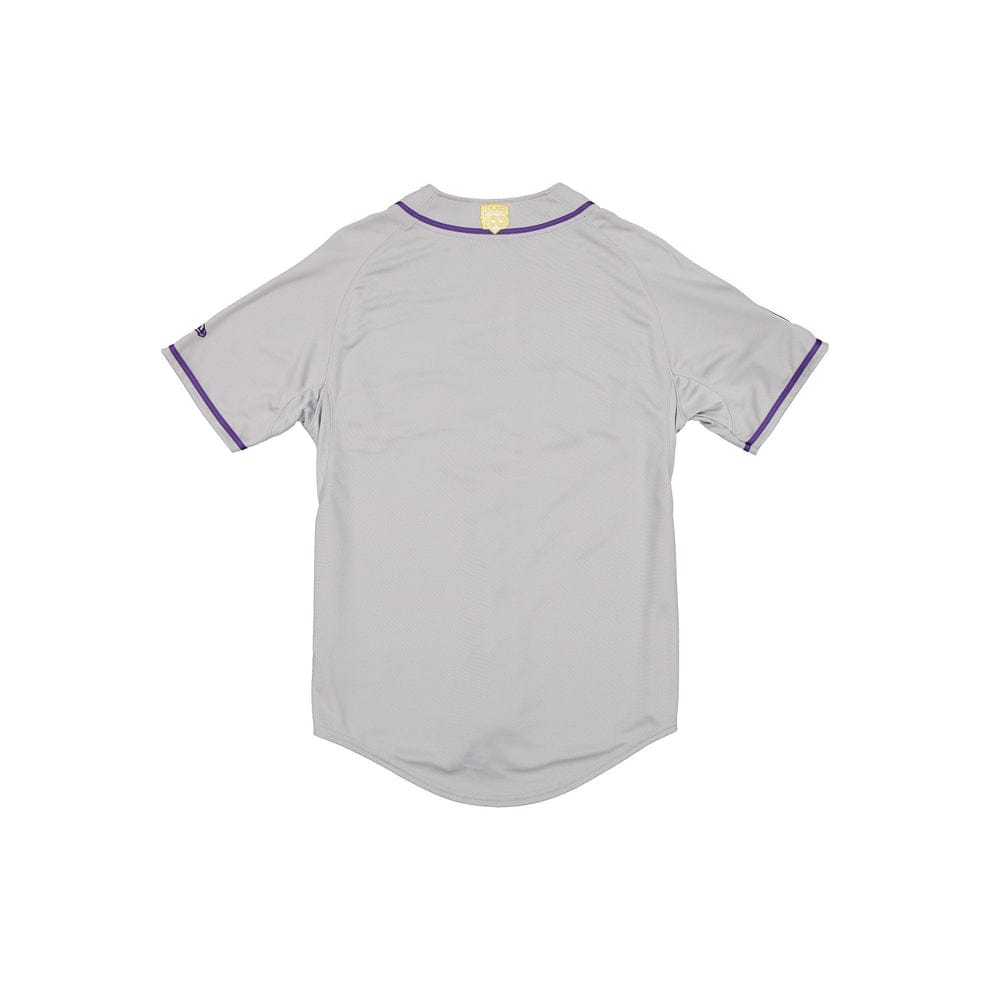 (Grey/Orchard) New Era conspiradores de Queretaro - BeisbolMXShop