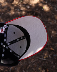 Houston Astros Blue/Red - BeisbolMXShop