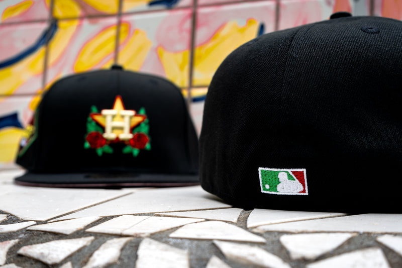 Latin heat Astros(pin not included)