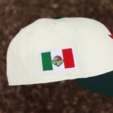 Mexico flag Houston astros new era fitted - BeisbolMXShop