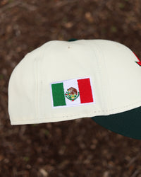 Mexico flag Houston astros new era fitted - BeisbolMXShop