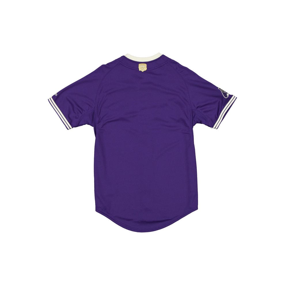 (Orchard) conspiradores de Queretaro - BeisbolMXShop