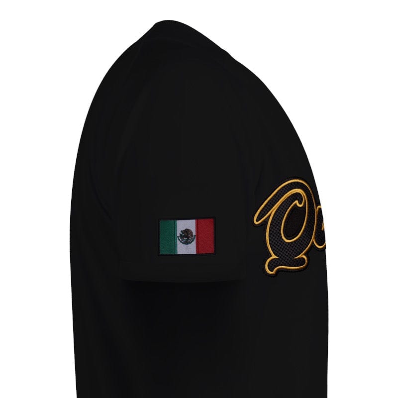 Queretaro BLACK & GOLD Jersey - BeisbolMXShop